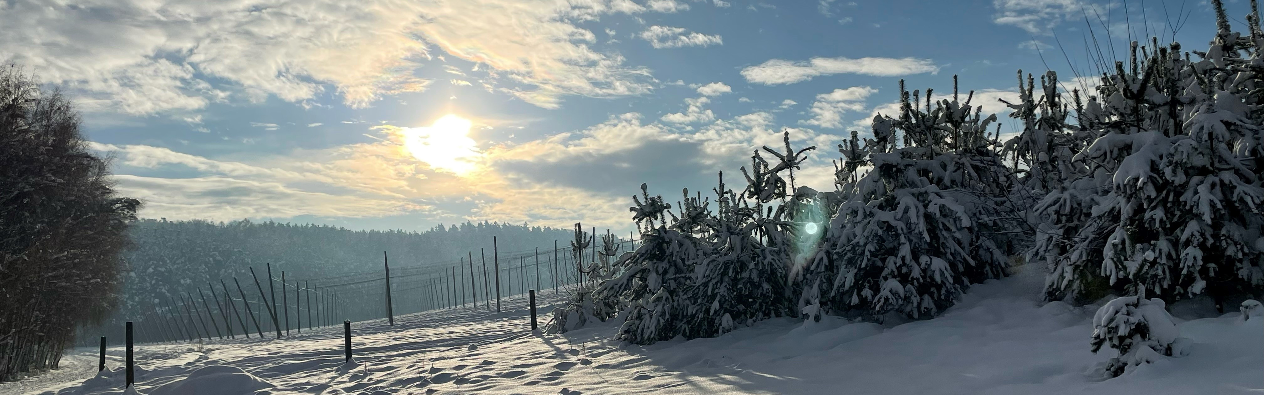 (c) K Neuhauser – Slider Winterlandschaft